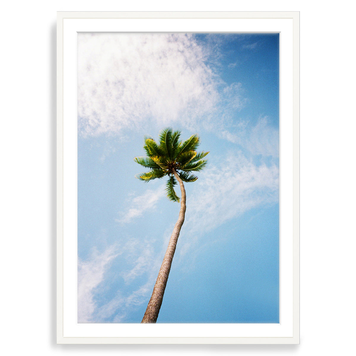 You&#39;ve Got a Frond