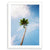 You've Got a Frond