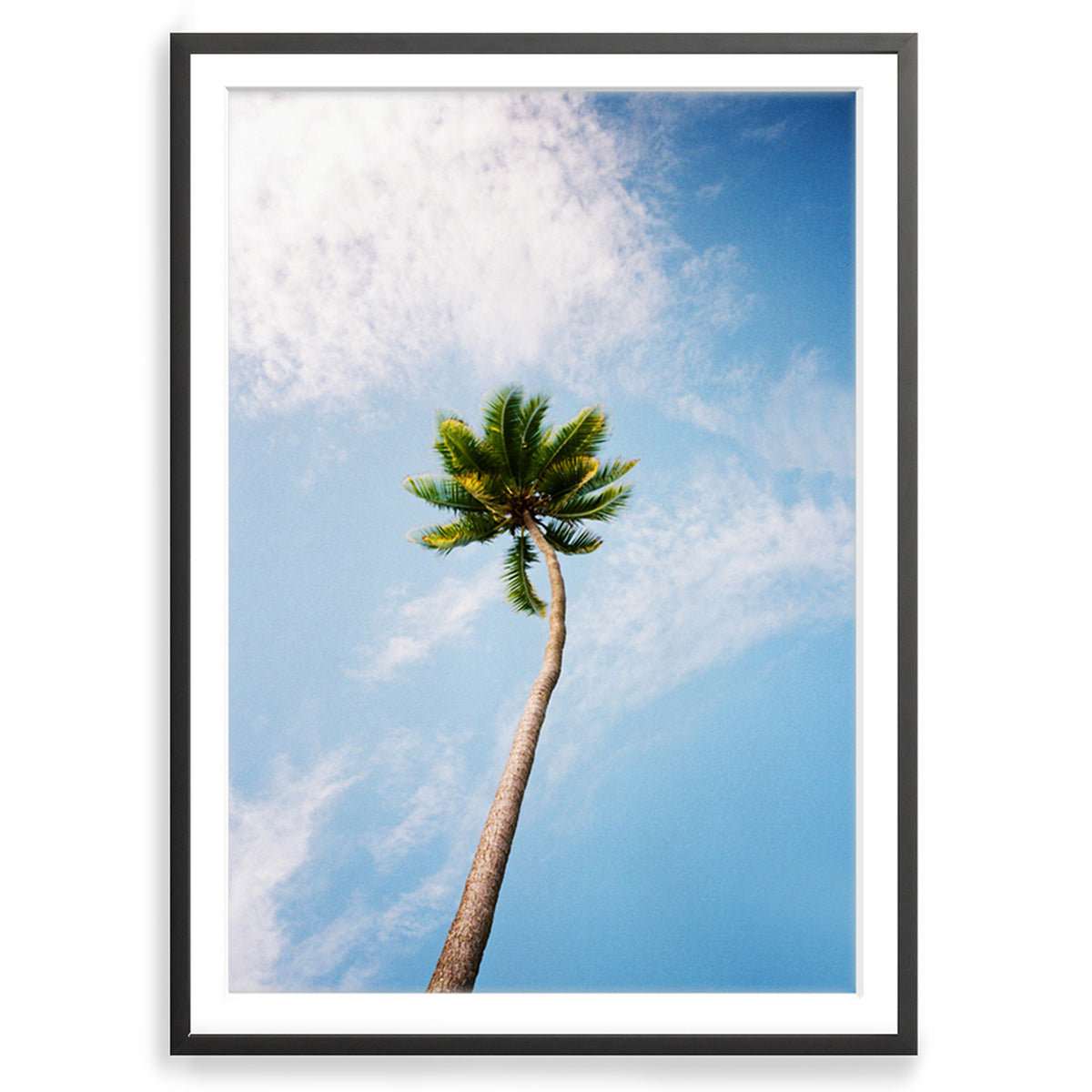 You&#39;ve Got a Frond