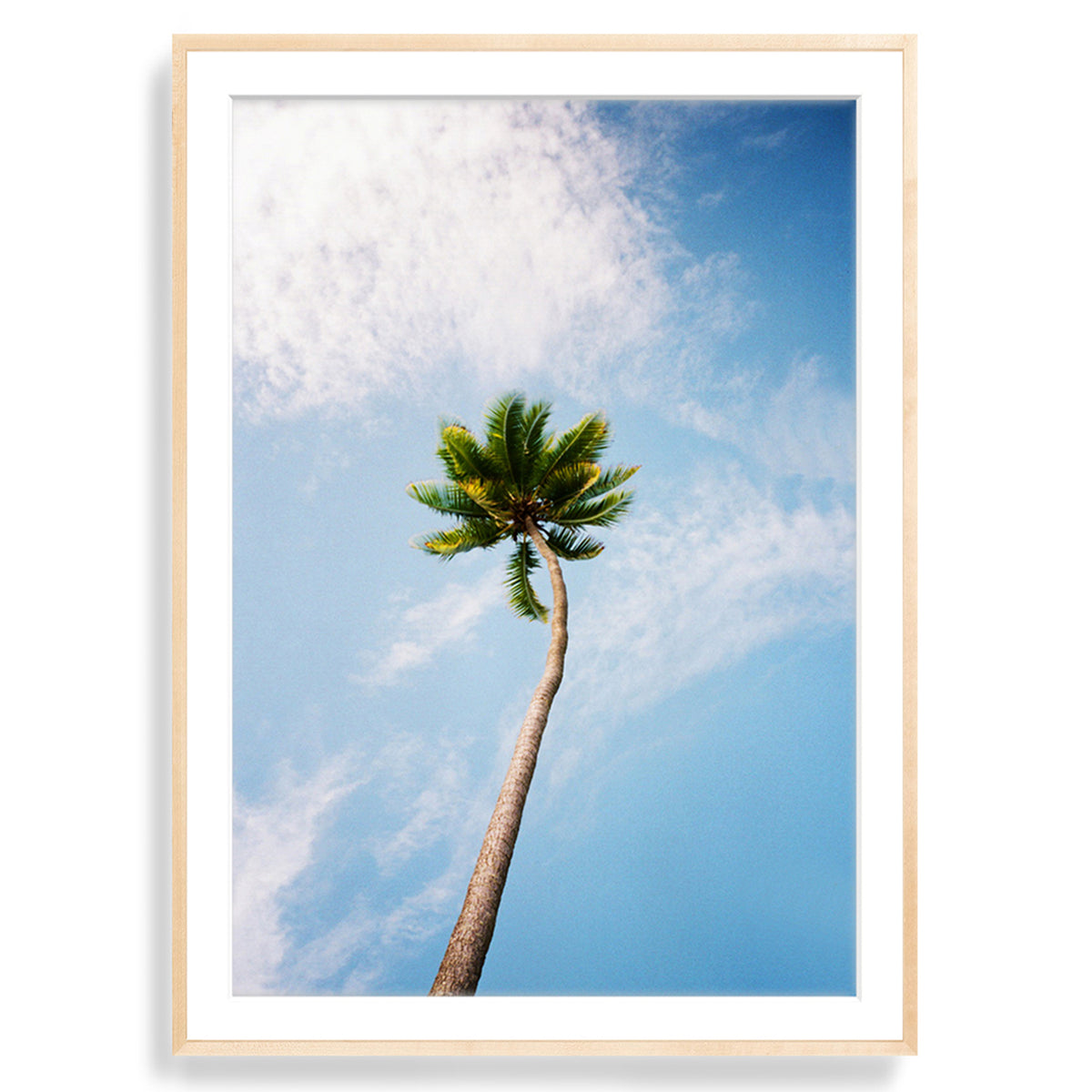 You&#39;ve Got a Frond
