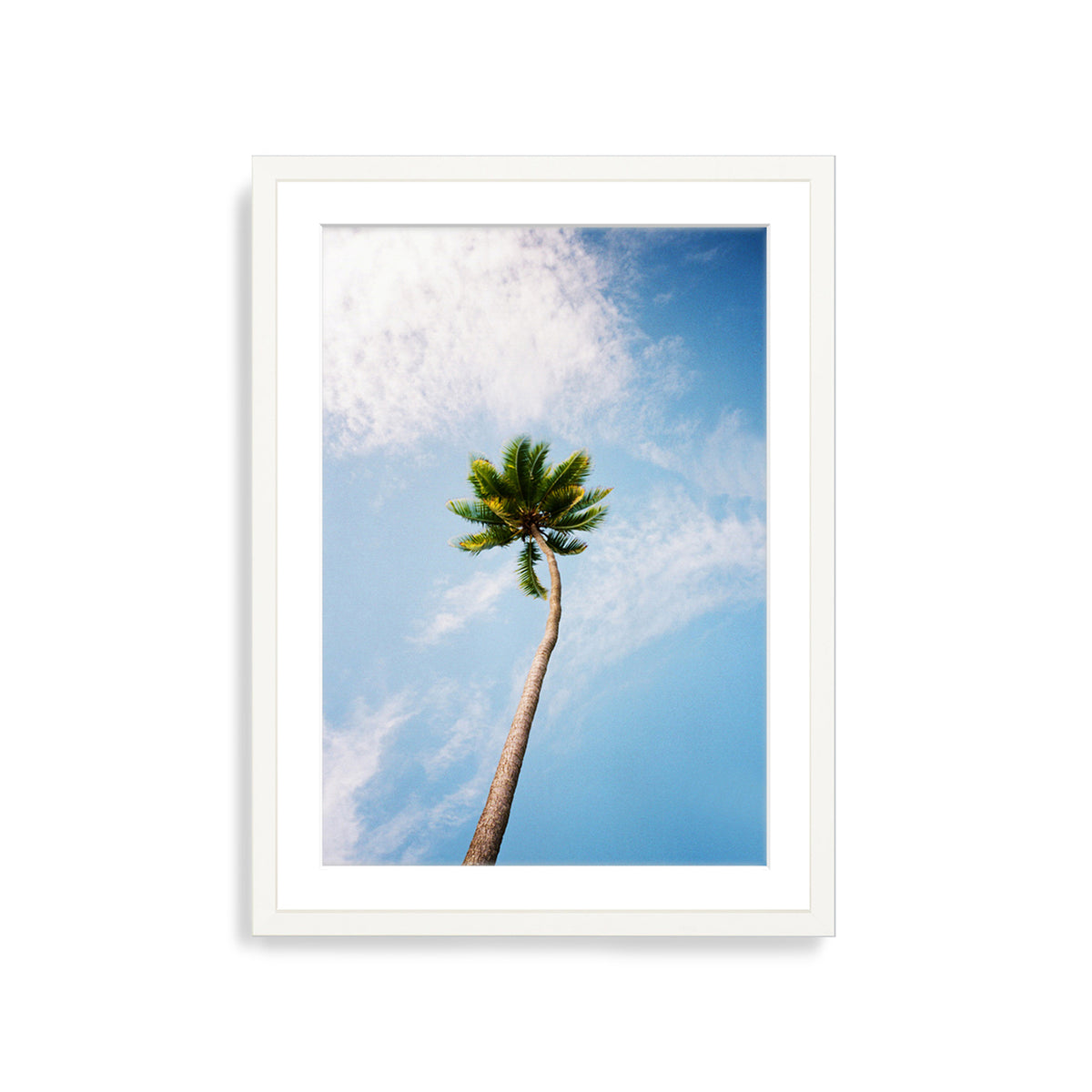 You&#39;ve Got a Frond
