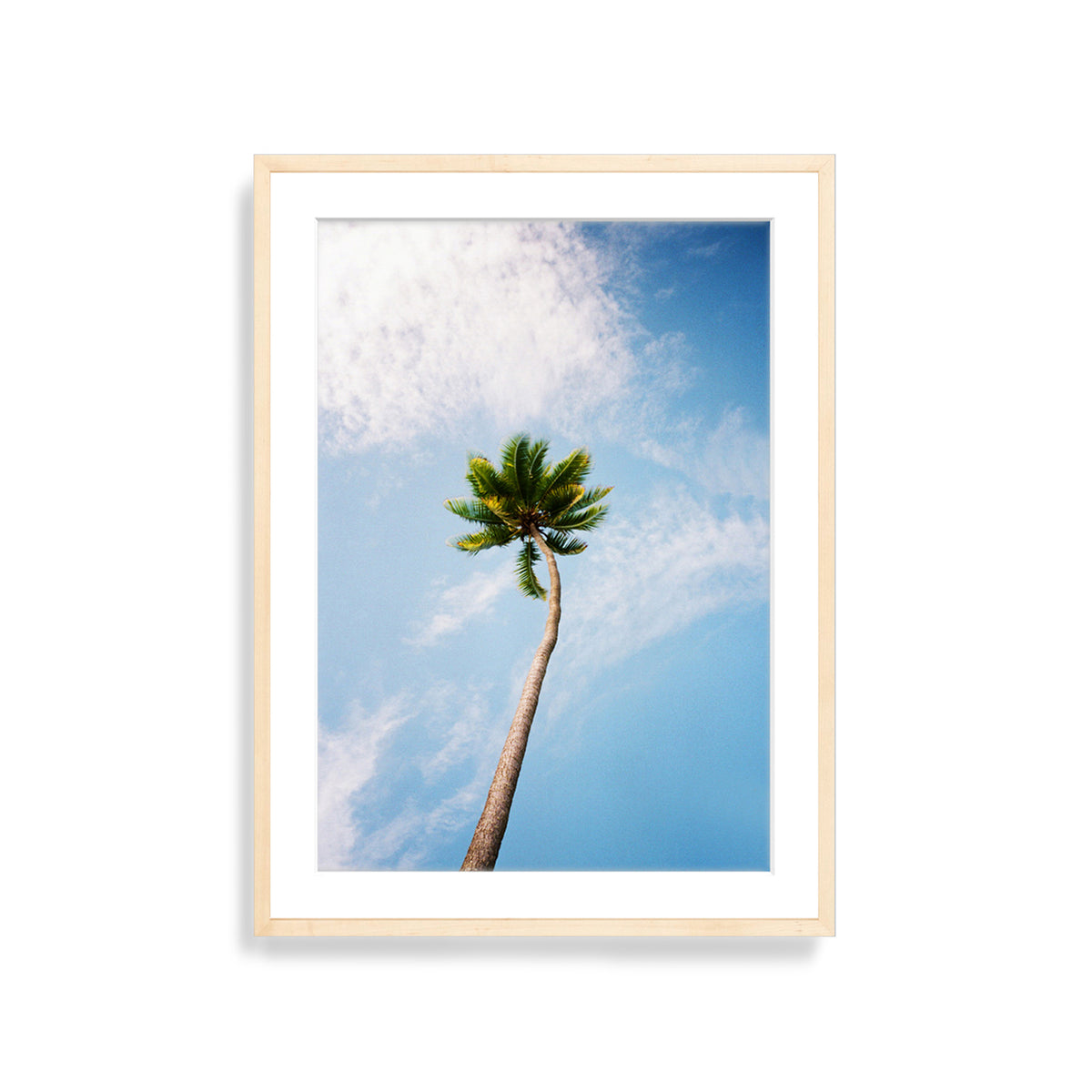 You&#39;ve Got a Frond