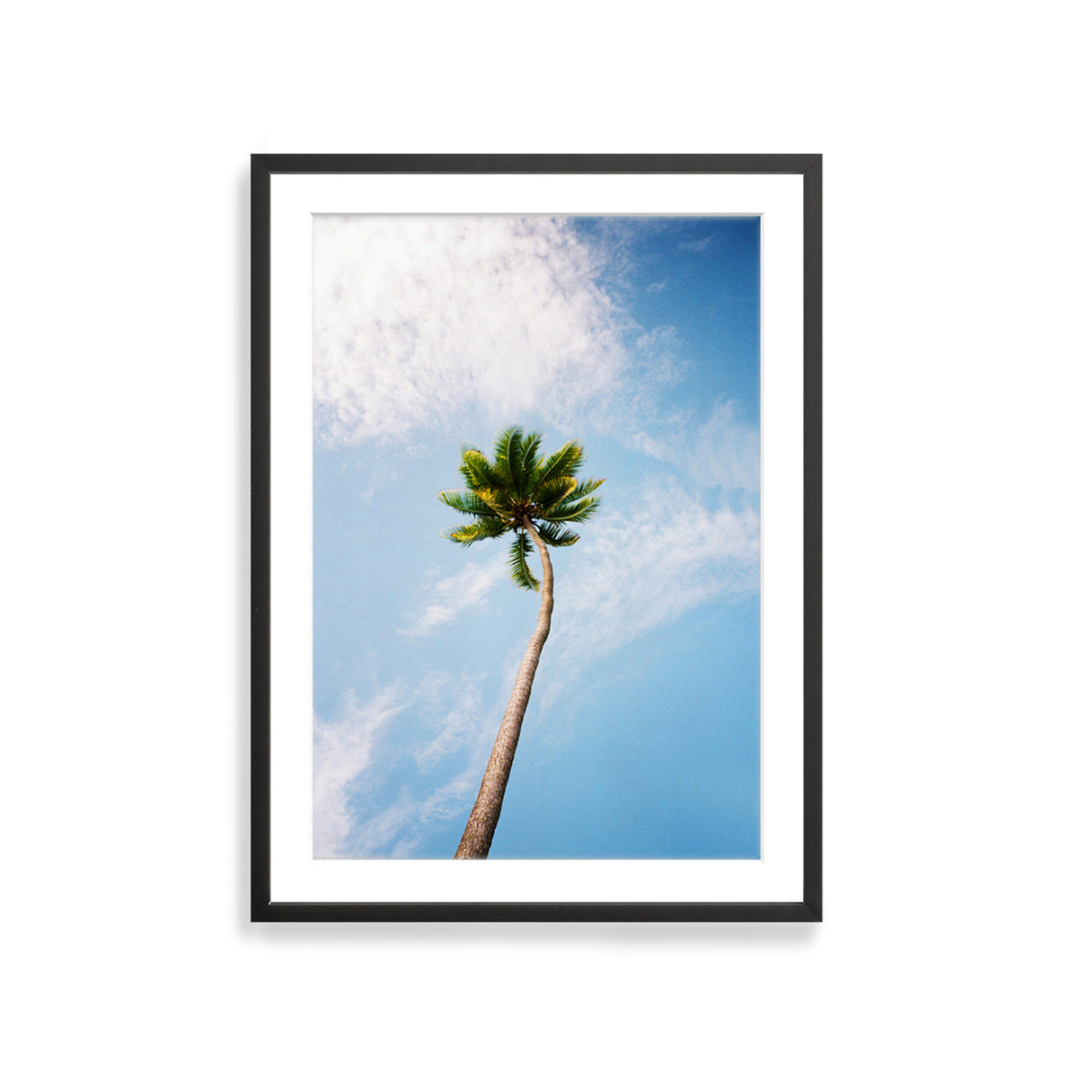 You&#39;ve Got a Frond