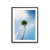 You've Got a Frond