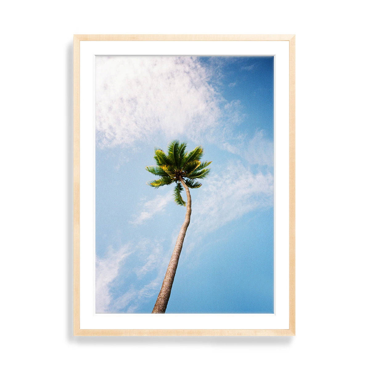 You&#39;ve Got a Frond