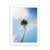 You've Got a Frond