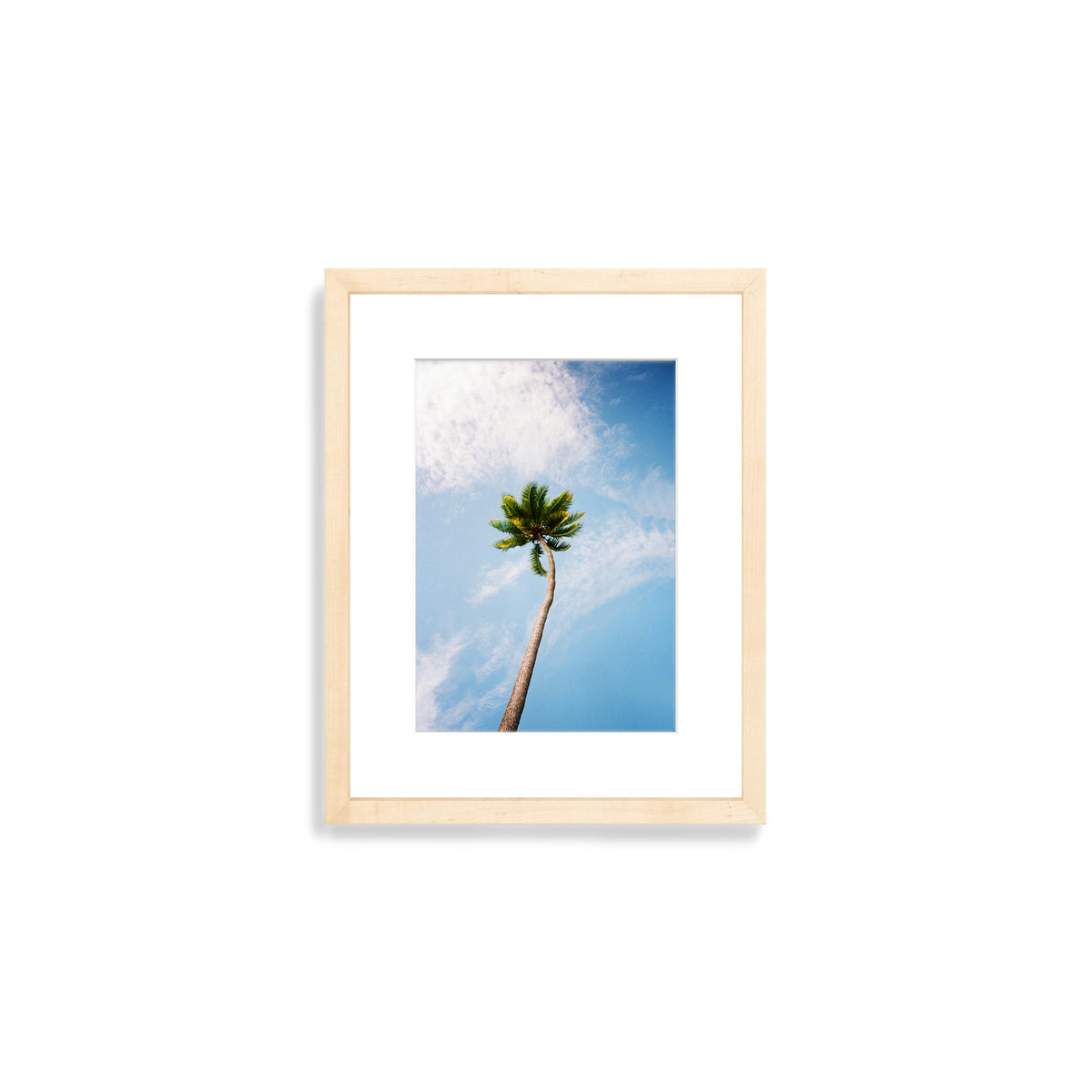 You&#39;ve Got a Frond