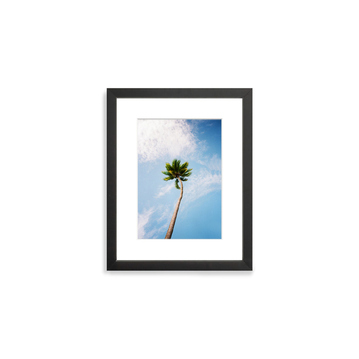 You&#39;ve Got a Frond