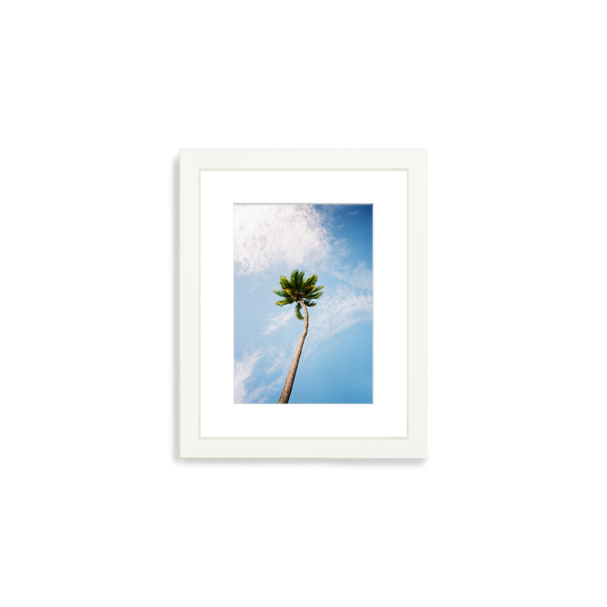 You&#39;ve Got a Frond