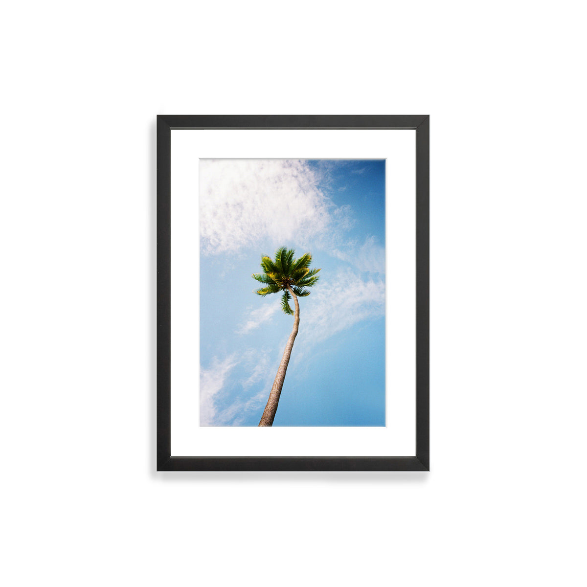 You&#39;ve Got a Frond