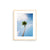You've Got a Frond
