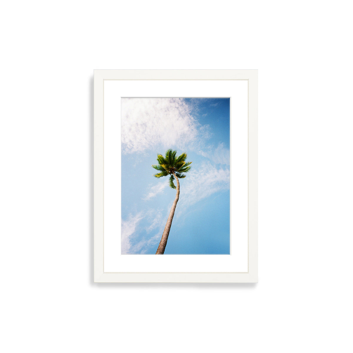 You&#39;ve Got a Frond