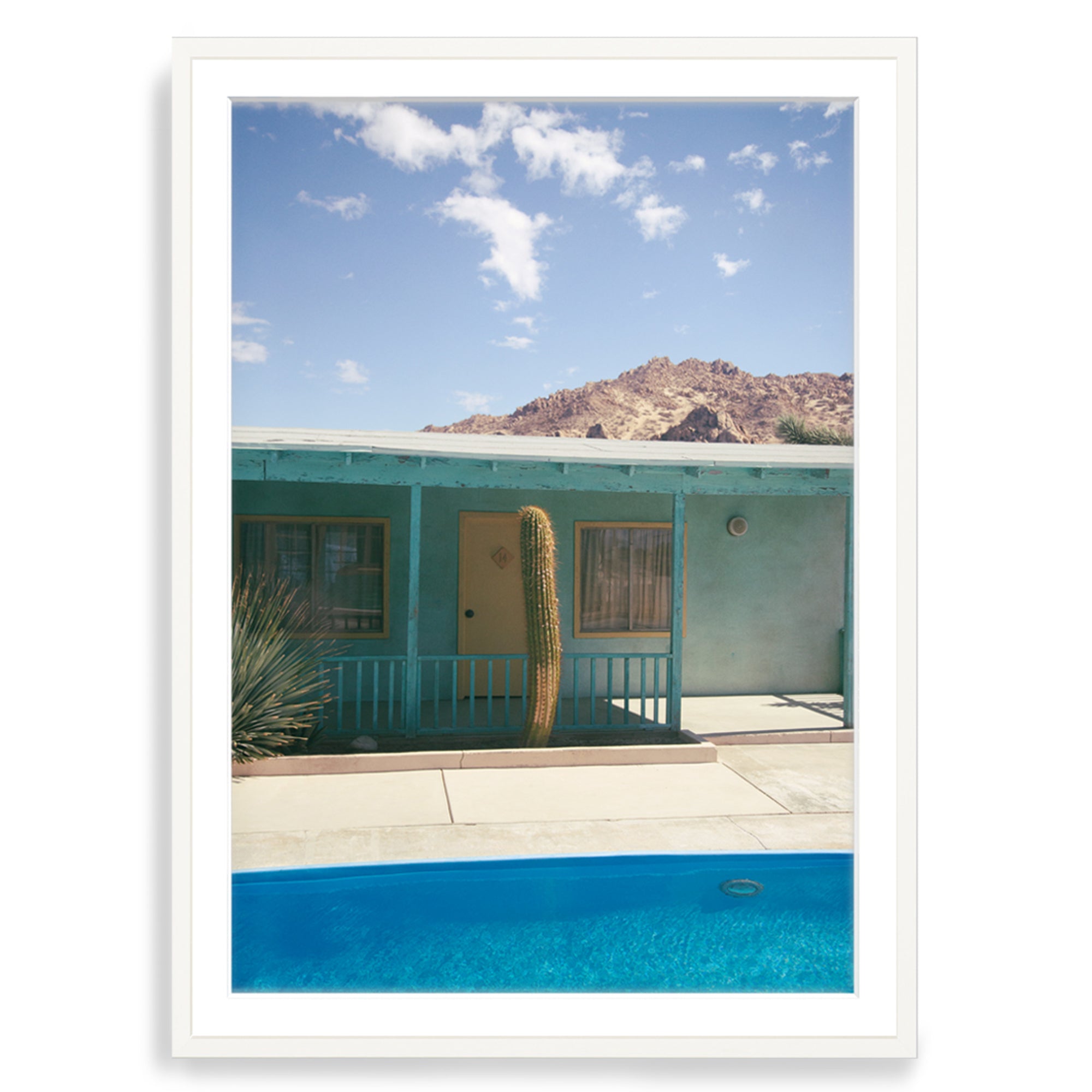 Lights, Cactus, Action!