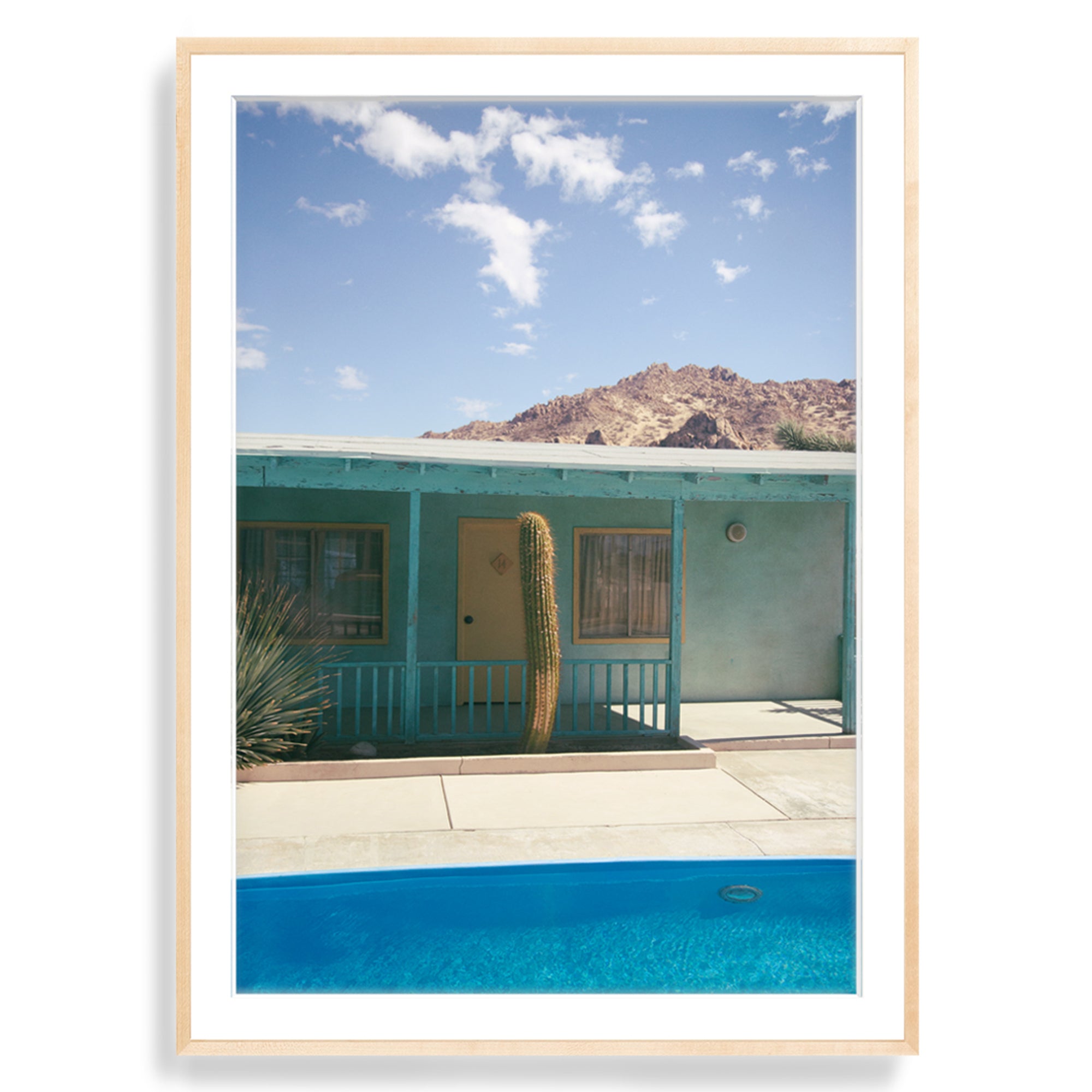 Lights, Cactus, Action!