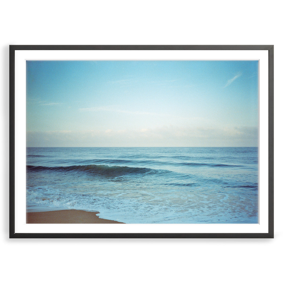 Dear Ocean