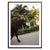 A Horse With No Name