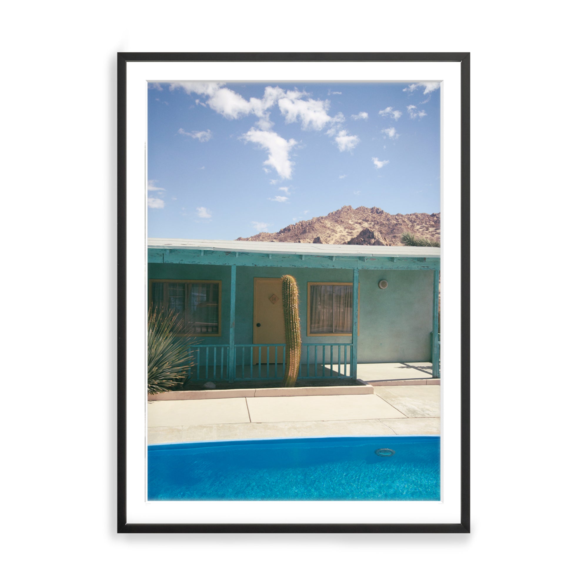 Lights, Cactus, Action!