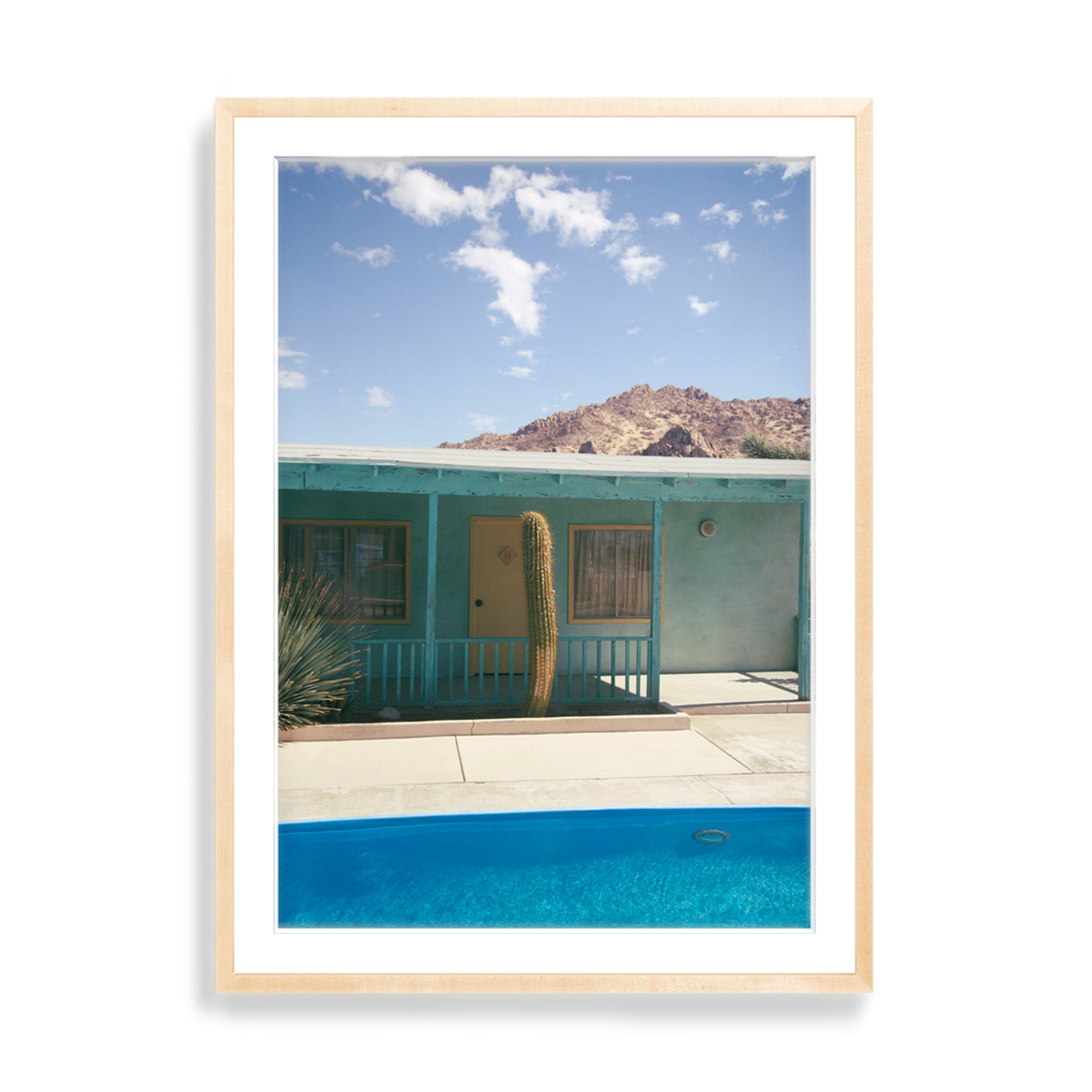 Lights, Cactus, Action!