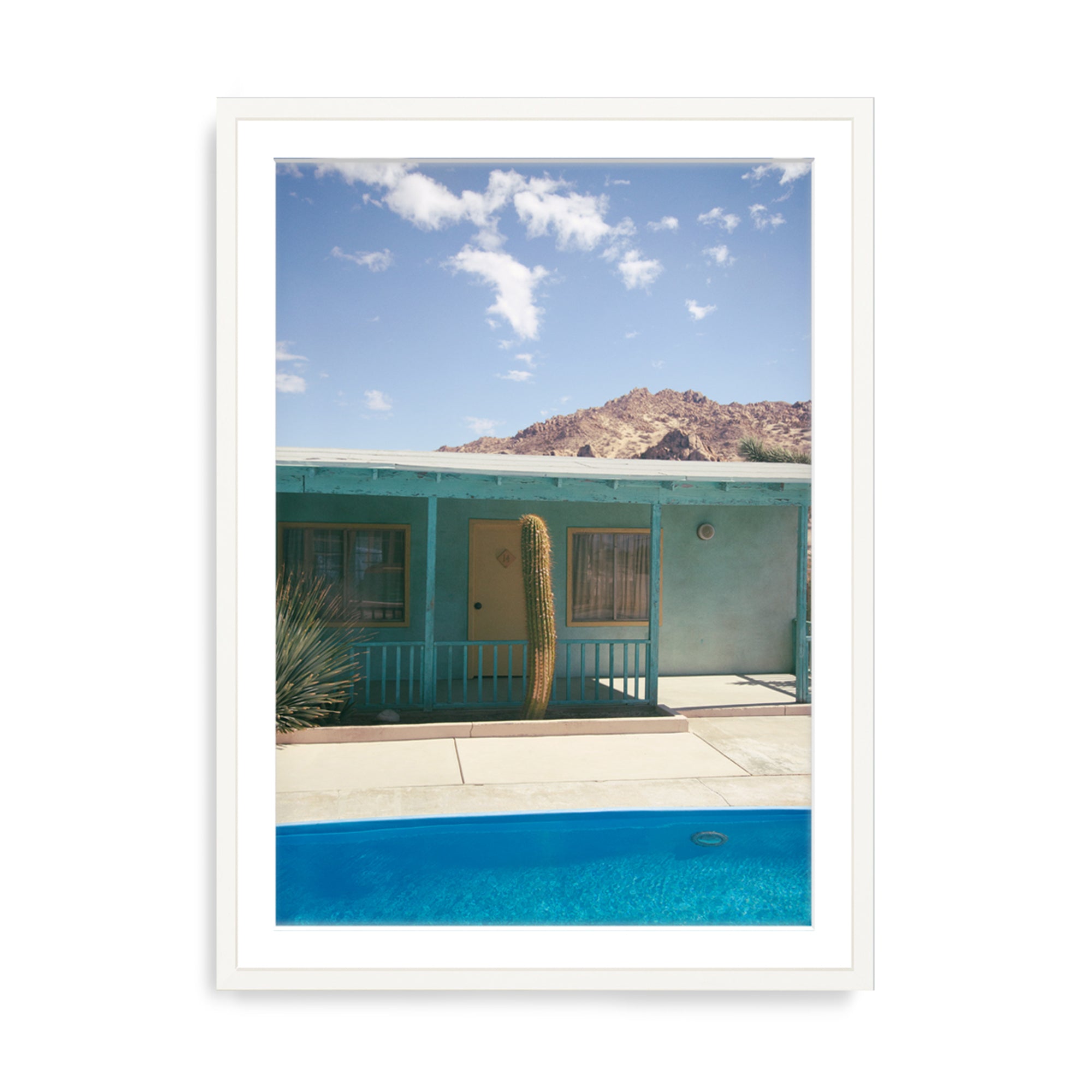 Lights, Cactus, Action!