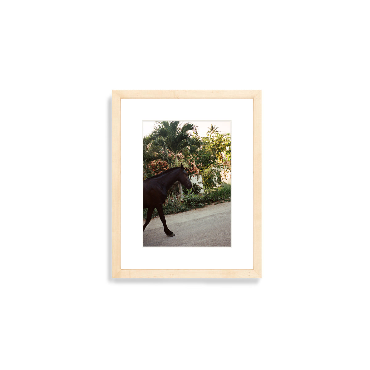 A Horse With No Name
