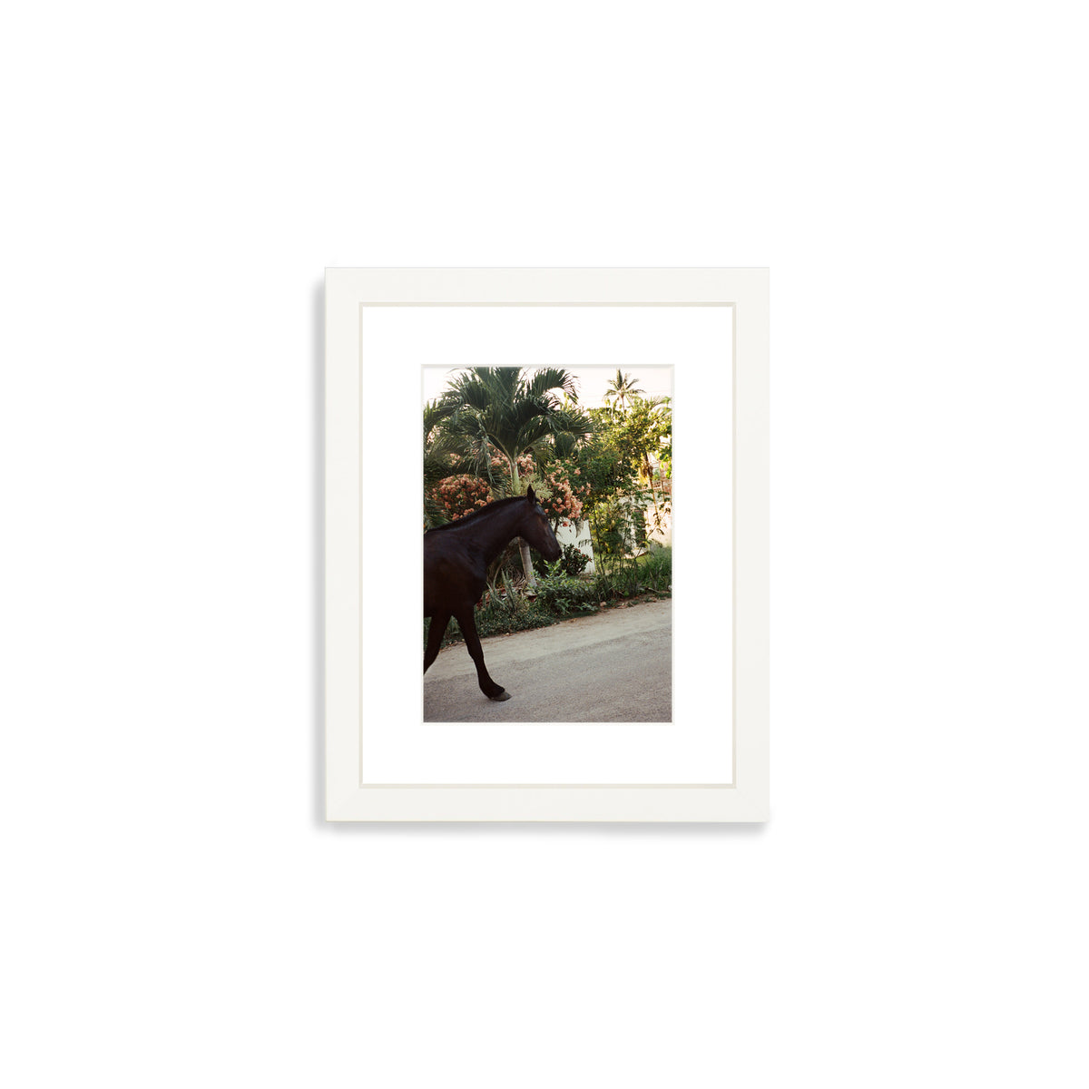 A Horse With No Name