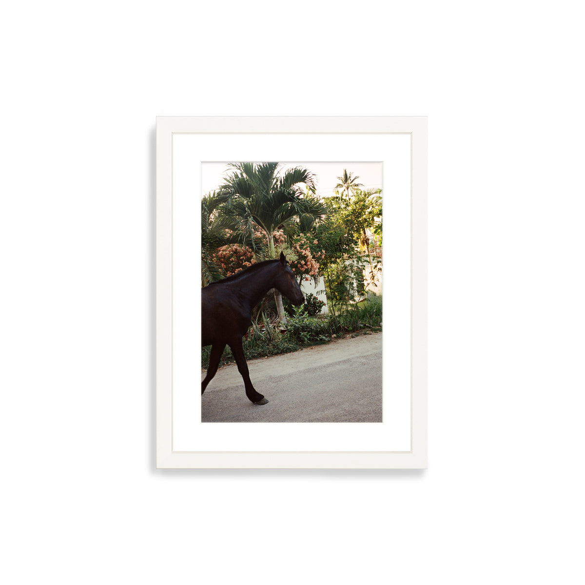 A Horse With No Name