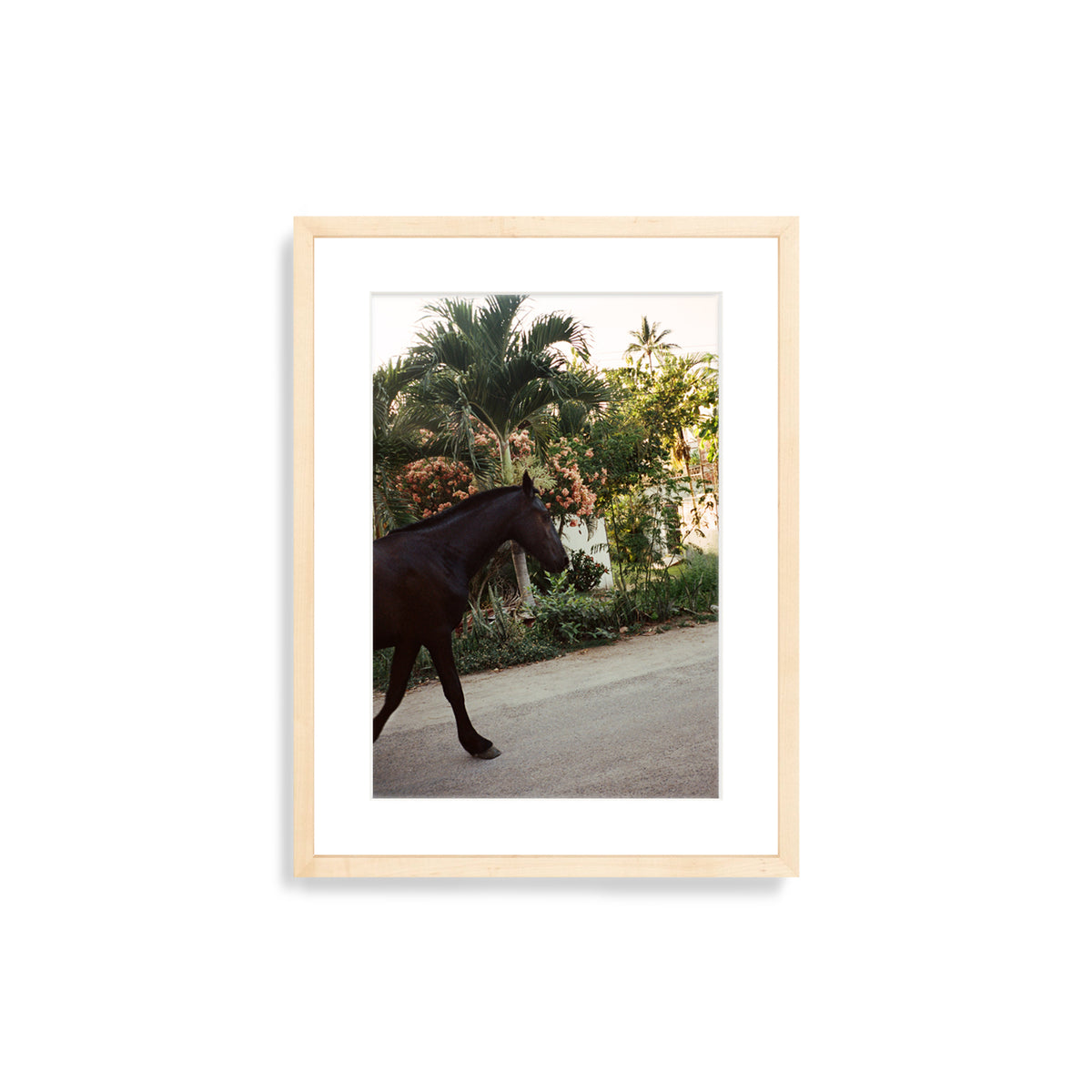 A Horse With No Name